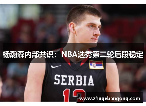 杨瀚森内部共识：NBA选秀第二轮后段稳定